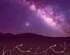 Satoshi News