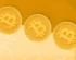 Satoshi News
