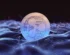 Satoshi News