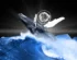 Satoshi News
