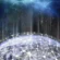 Satoshi News