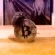 Satoshi News