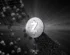 Satoshi News