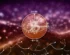 Satoshi News