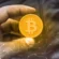 Satoshi News
