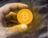 Satoshi News